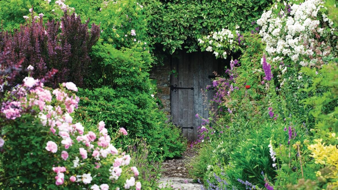 Abundant, colorful garden borders lining a path that leads to a wooden gate