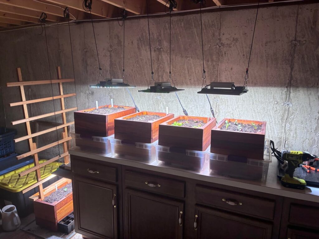 Indoor mini raised beds