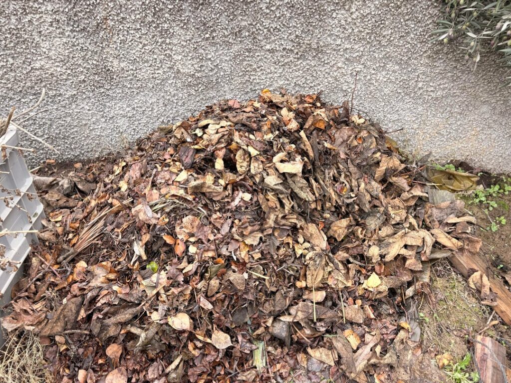 Is this a correct way of composting?