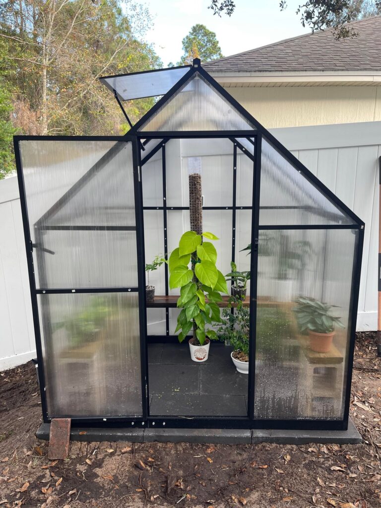 The best Christmas present I’ve ever gotten 🥹