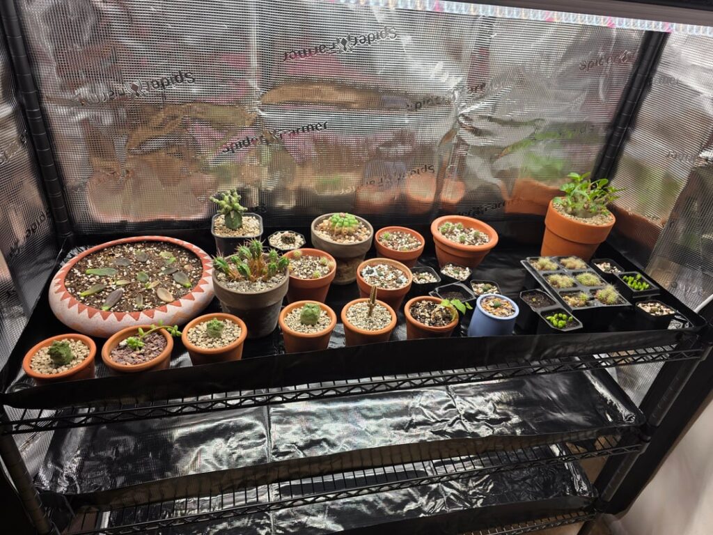 I have no idea what I'm doing. Please help.