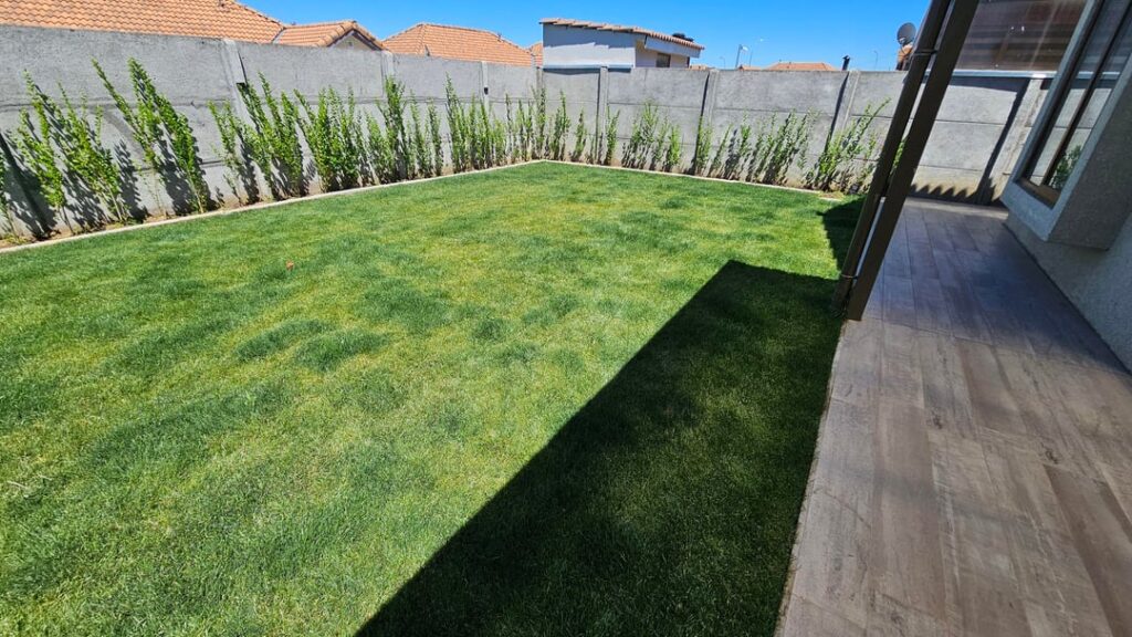 Cool-season lawn color issue – Chile (Mediterranean climate similar to Sacramento, CA)