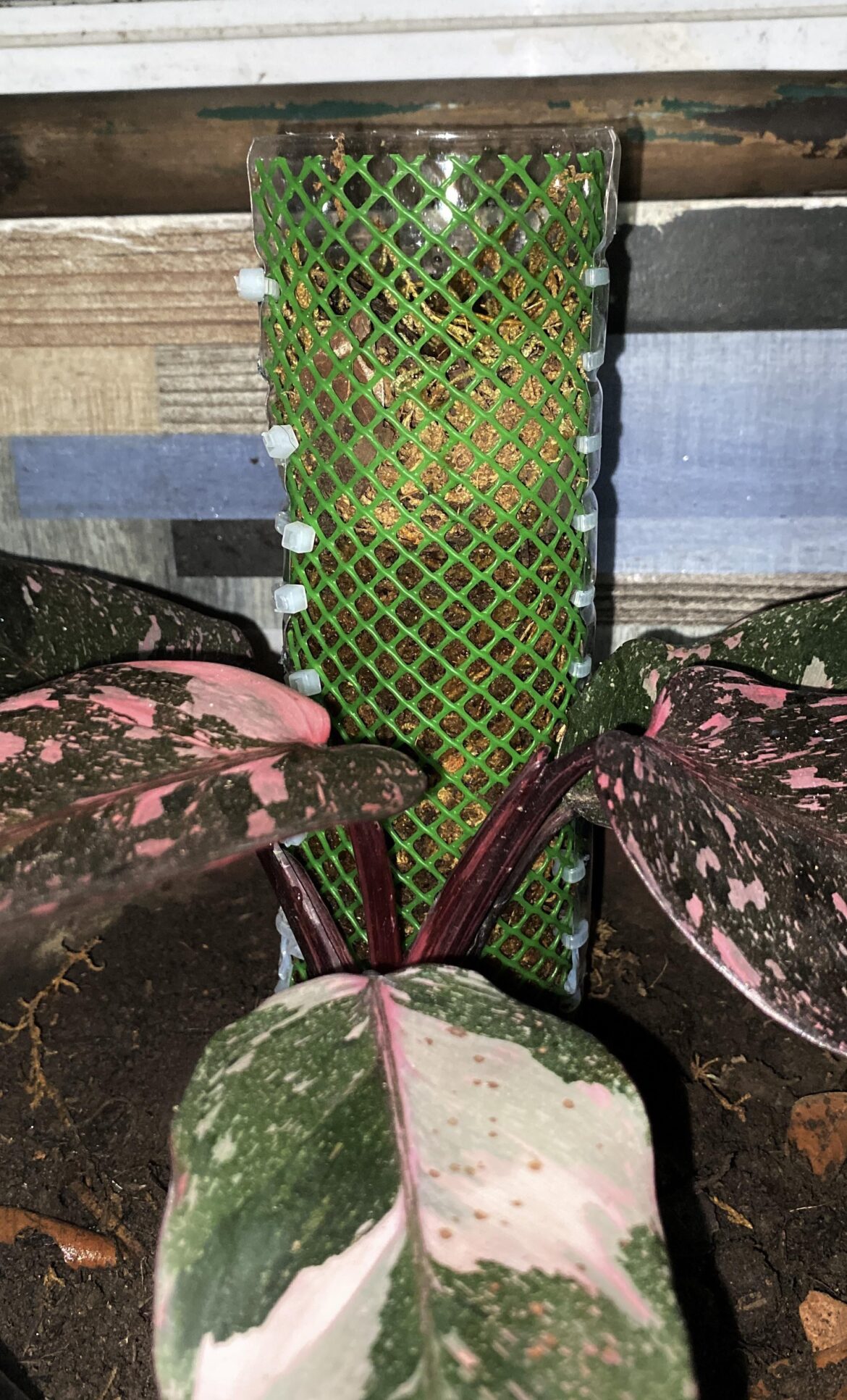 It’s not tall enough, is it…