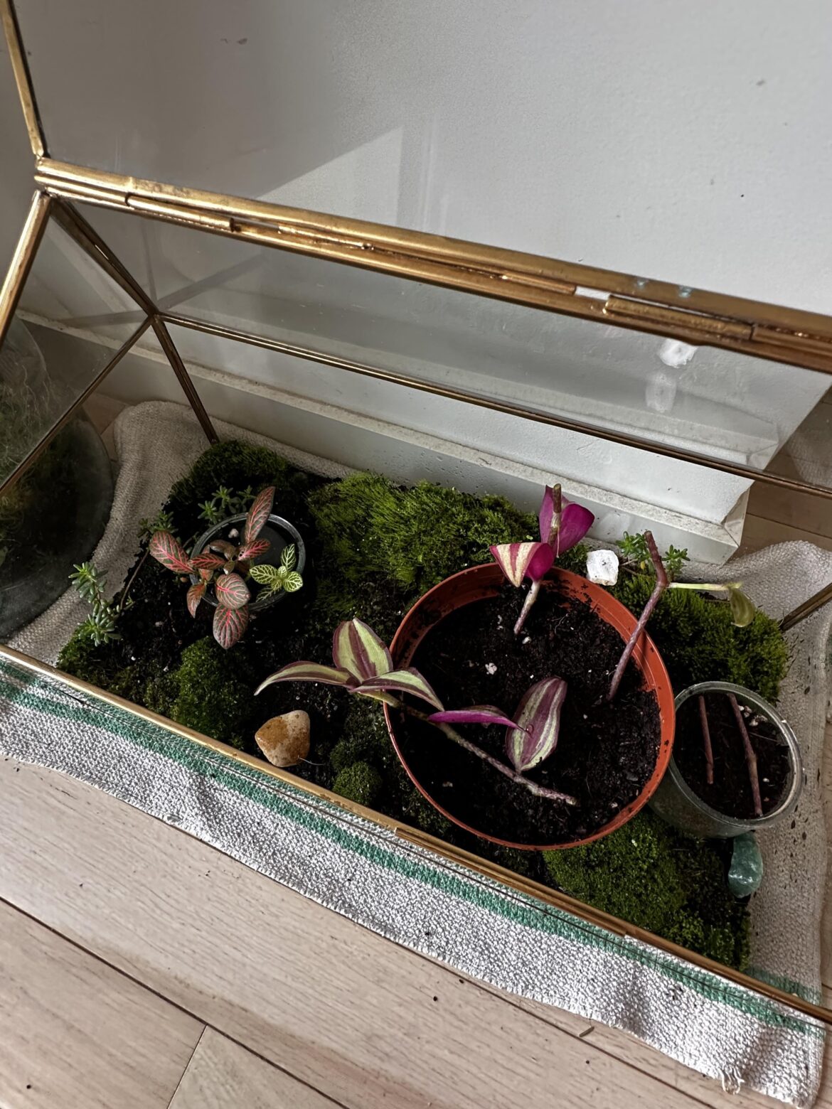 Improvised nursery
