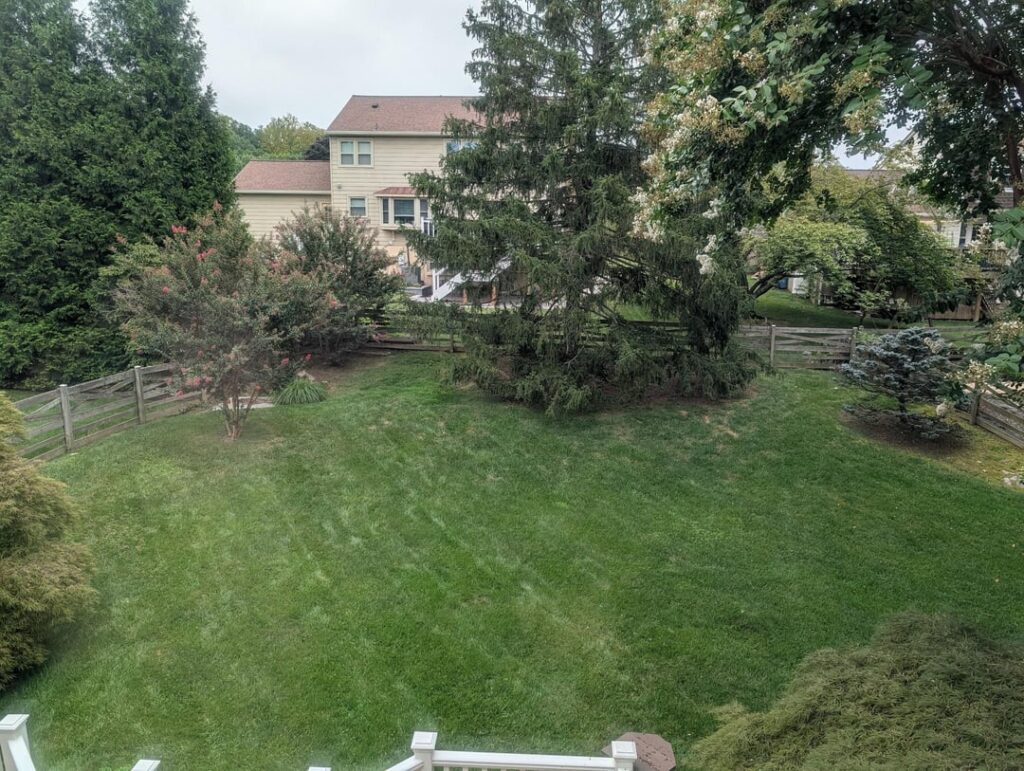 Creating sections in already great yard