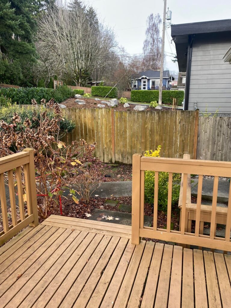 Looking for recommendation for a good tree/shrub to block the view of the street Looking for recommendation for a good tree/shrub to block the view of the street