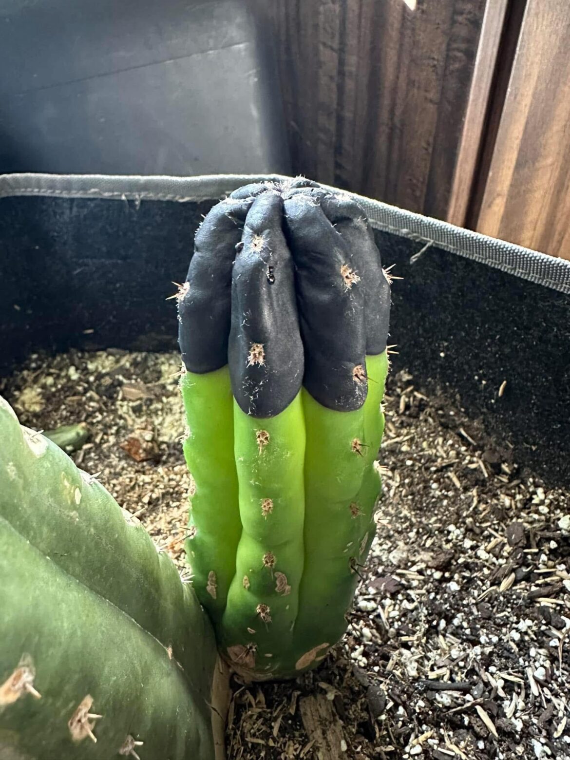 I still have no idea what happened here