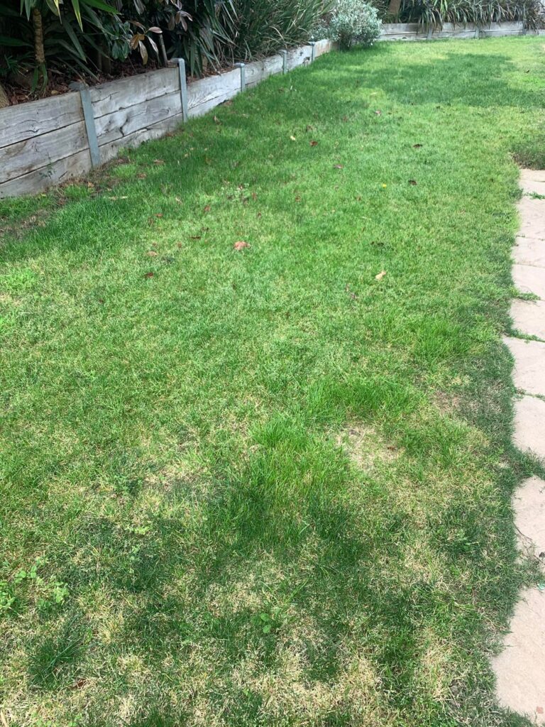 We moved into a mess but managed to fix it with regular maintenance