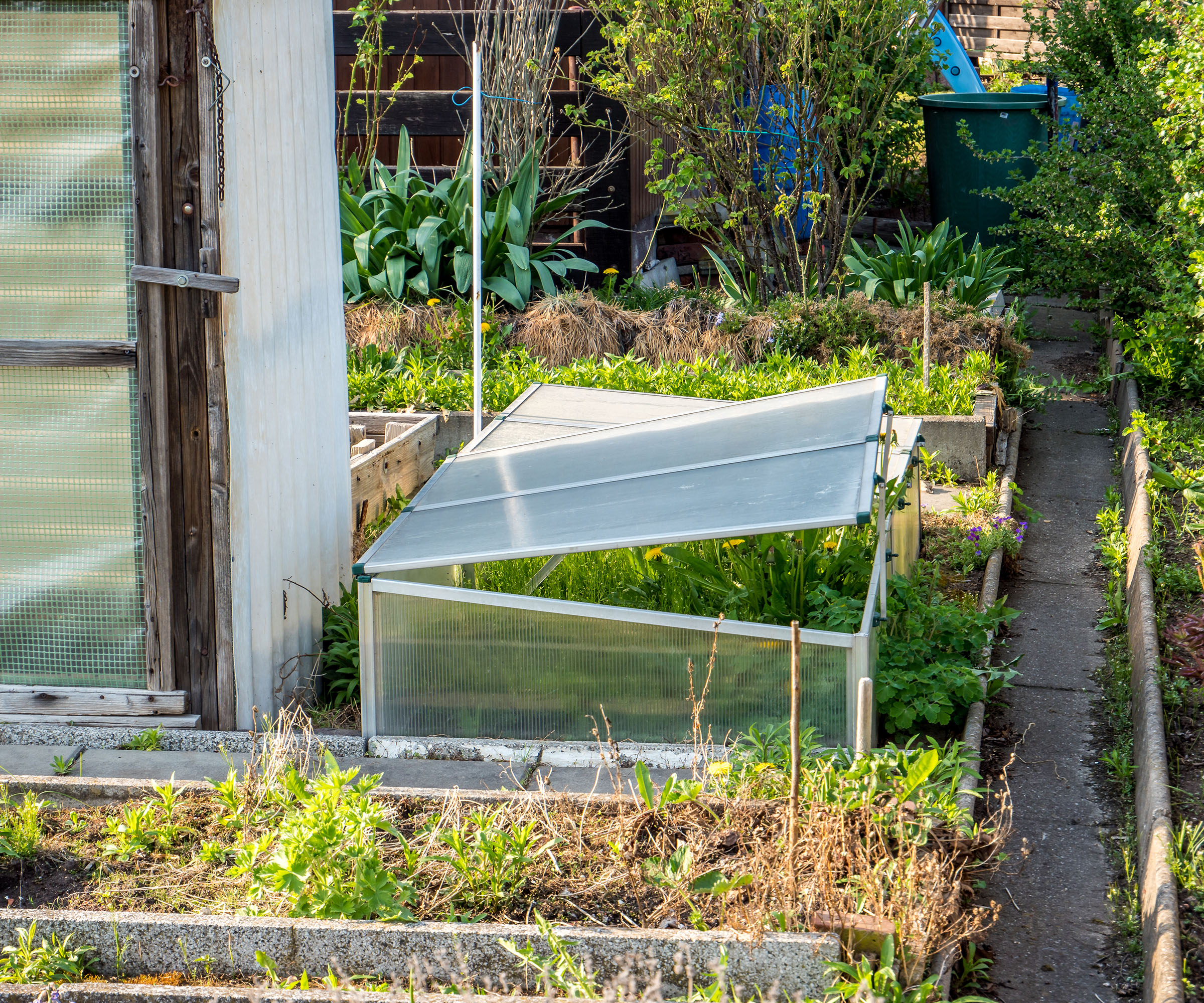 Portable cold frame in the garden next to a greenhouse