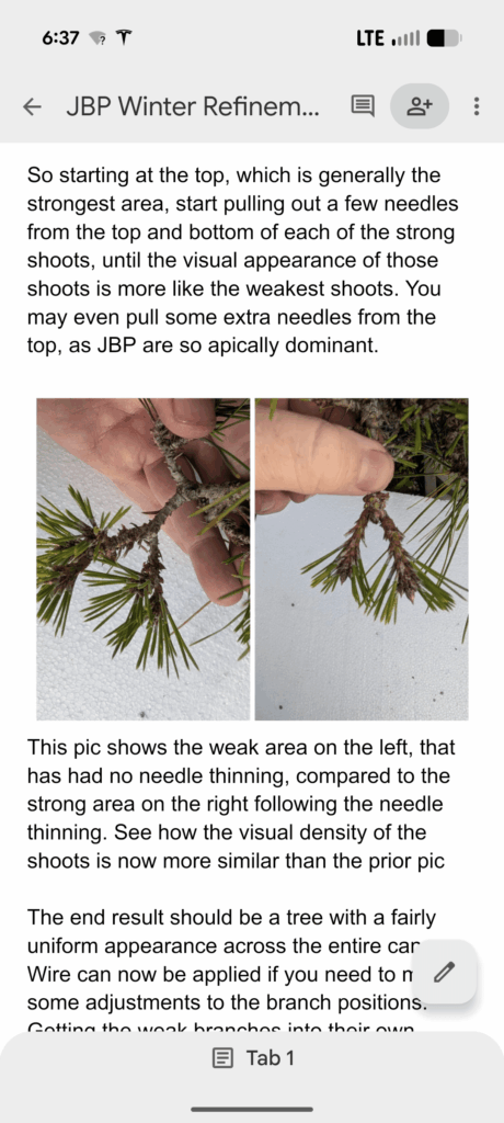 Sneak peak to the upcoming JBP winter pruning article