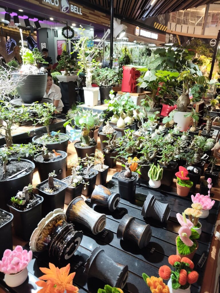 In a plant fair in Damansara