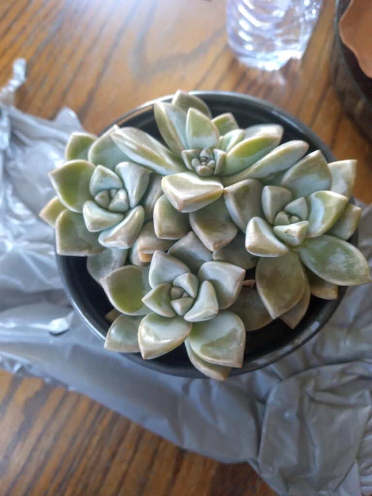 What am I doing wrong? What am I doing wrong?