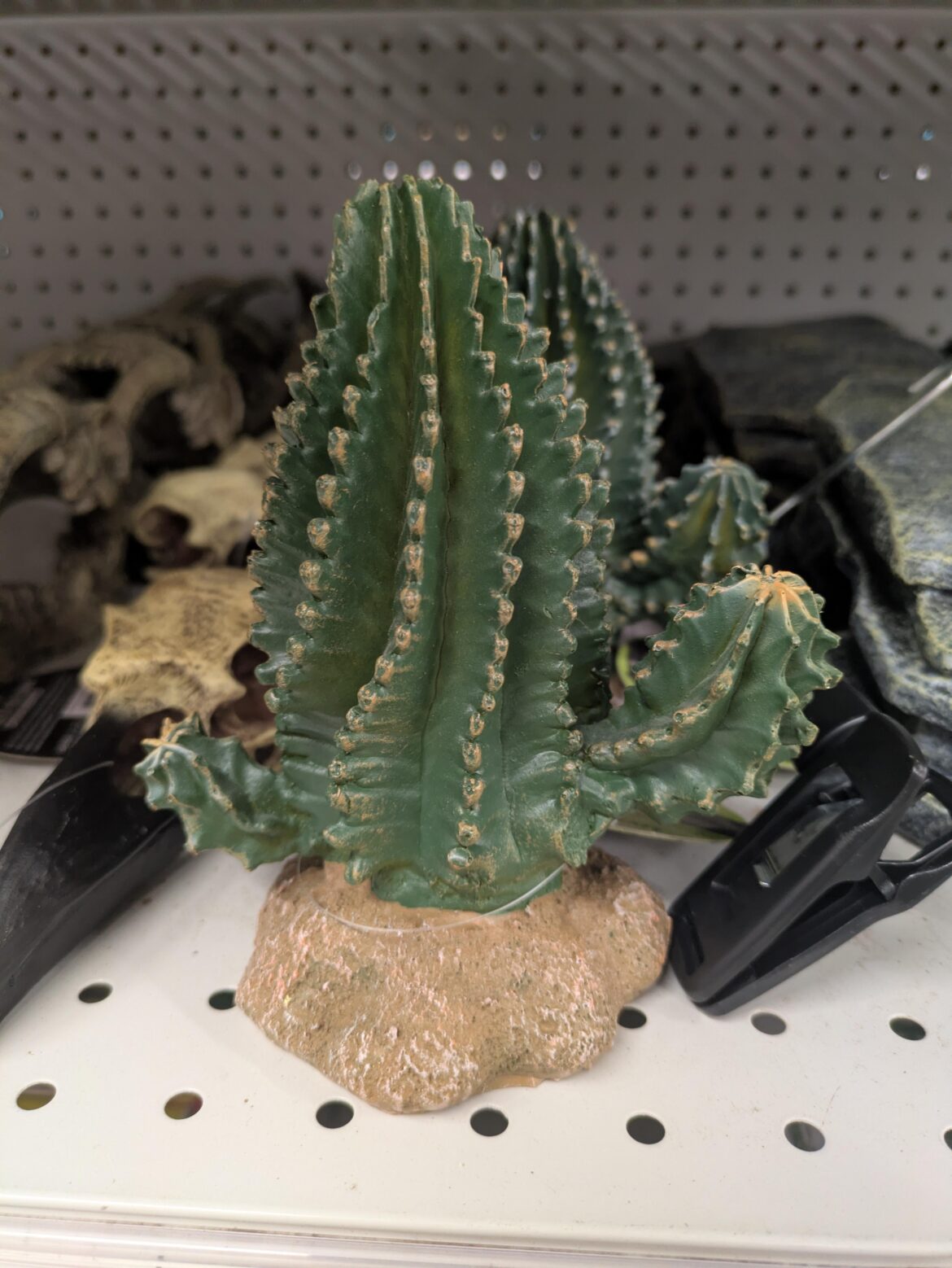 So even the fake plants need more light