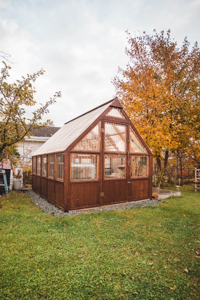 How Greenhouse Kits Are Transforming Backyard Gardening small wooden shed in autumn