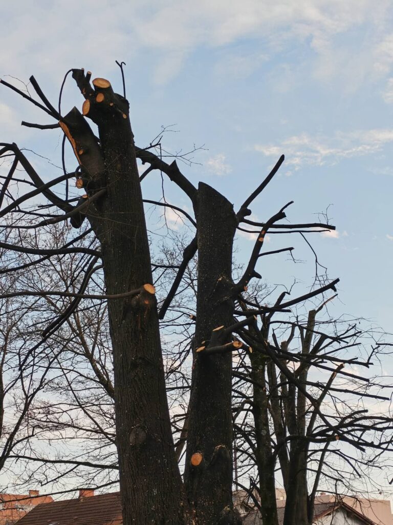 How does your country deal with incompetent, low budget contractors?