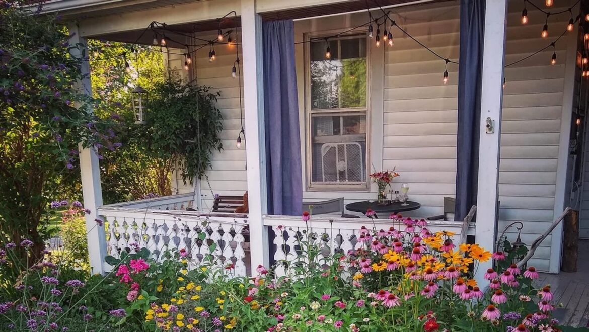 ‘It’s my pride and joy’ One Reddit user shared photos of their beautiful garden in celebration of pollinator season.