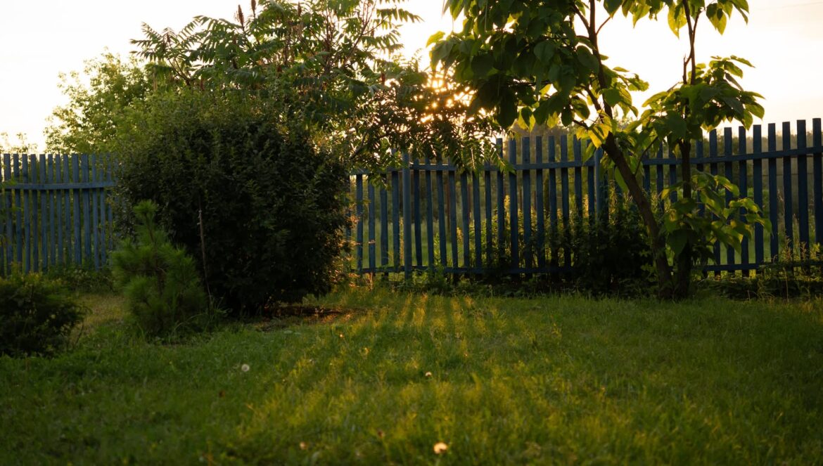 Gardener captures adorable video of unexpected visitor in backyard: ‘So cute’ This gardener has a friendly relationship with the possums who snack in their garden.