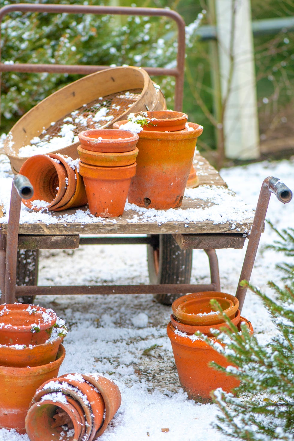 stacked terracotta pots on a wooden cart covered in snow