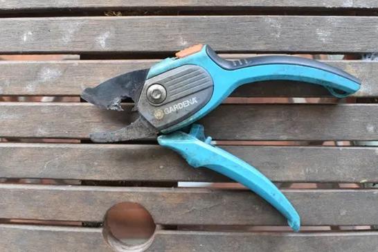 Don’t let spring garden growth become summer danger Don’t let spring garden growth become summer danger