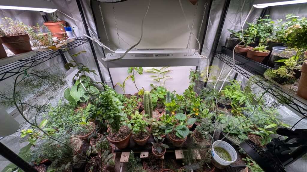 A slice of my winter setup