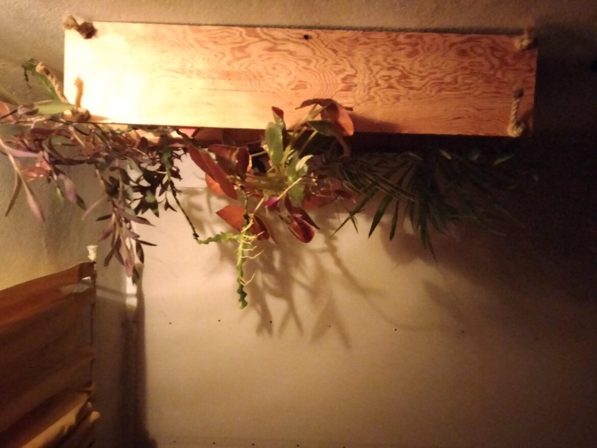 The view when I'm in my bed