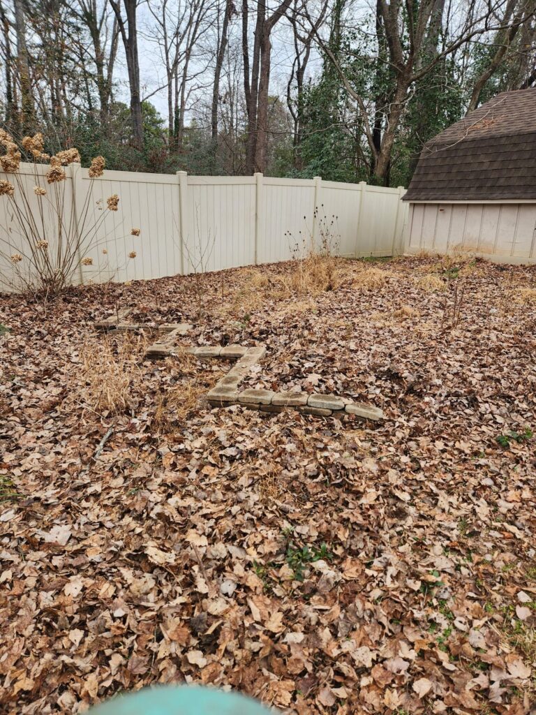 Next year's focus area