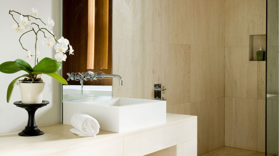 3 Orchid Myths You Shouldn’t Believe: Expert Advice White orchid sitting on bathroom sink