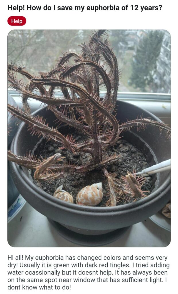 I don't understand, it was still green yesterday