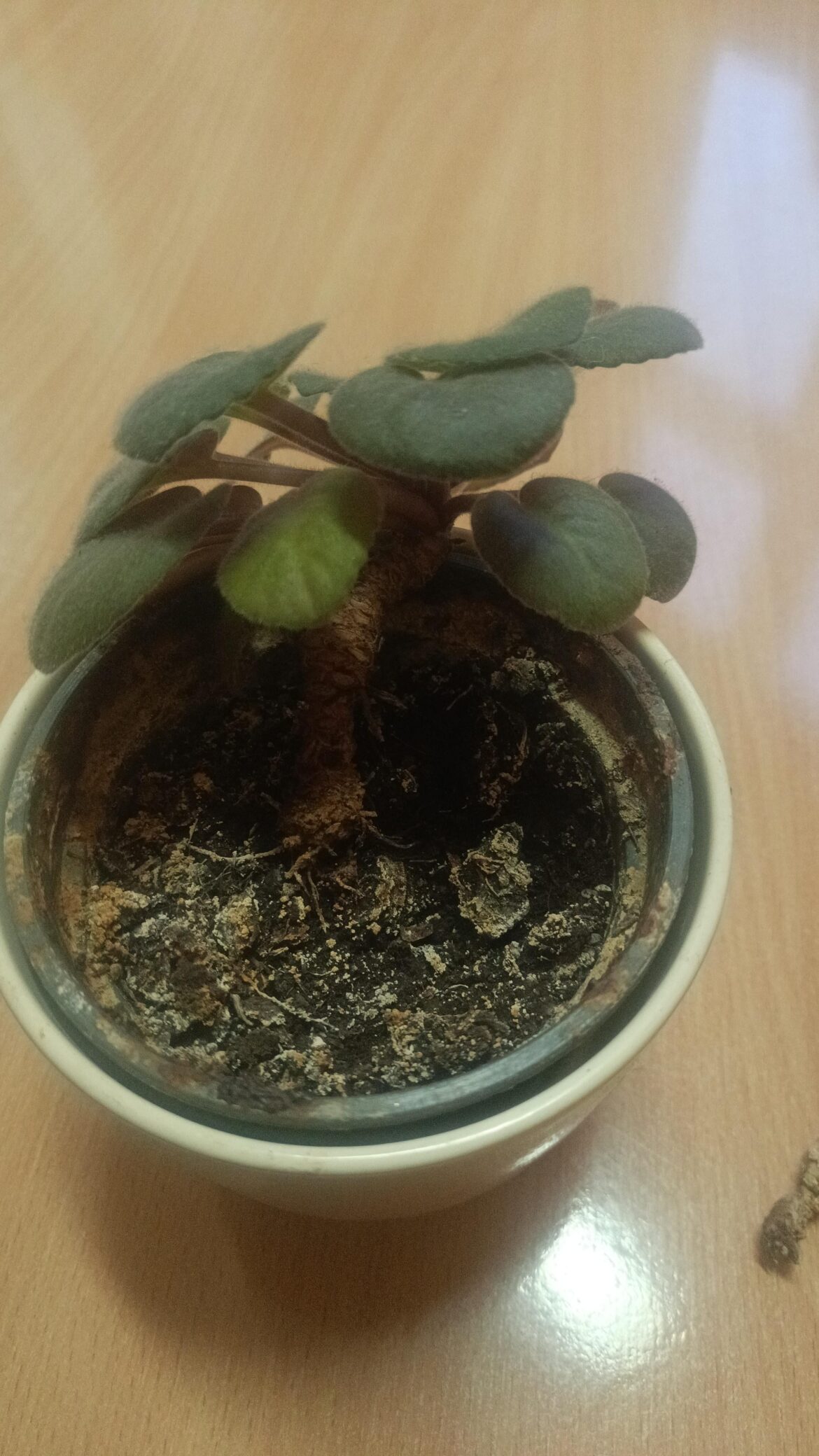 How can I save this?