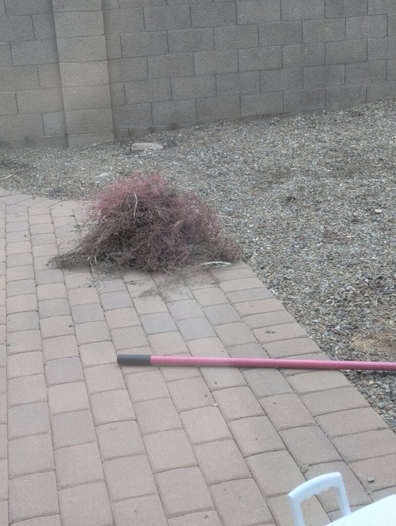 Battling my rock yard 😭