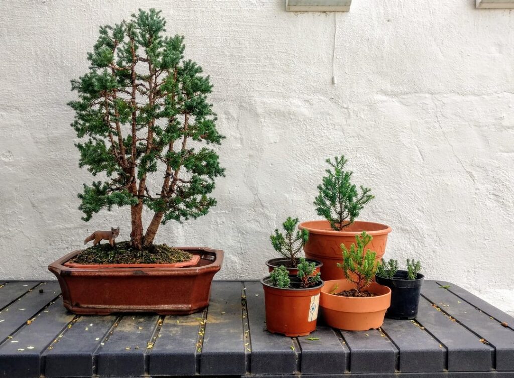 Mother and children 4 years ago, and now