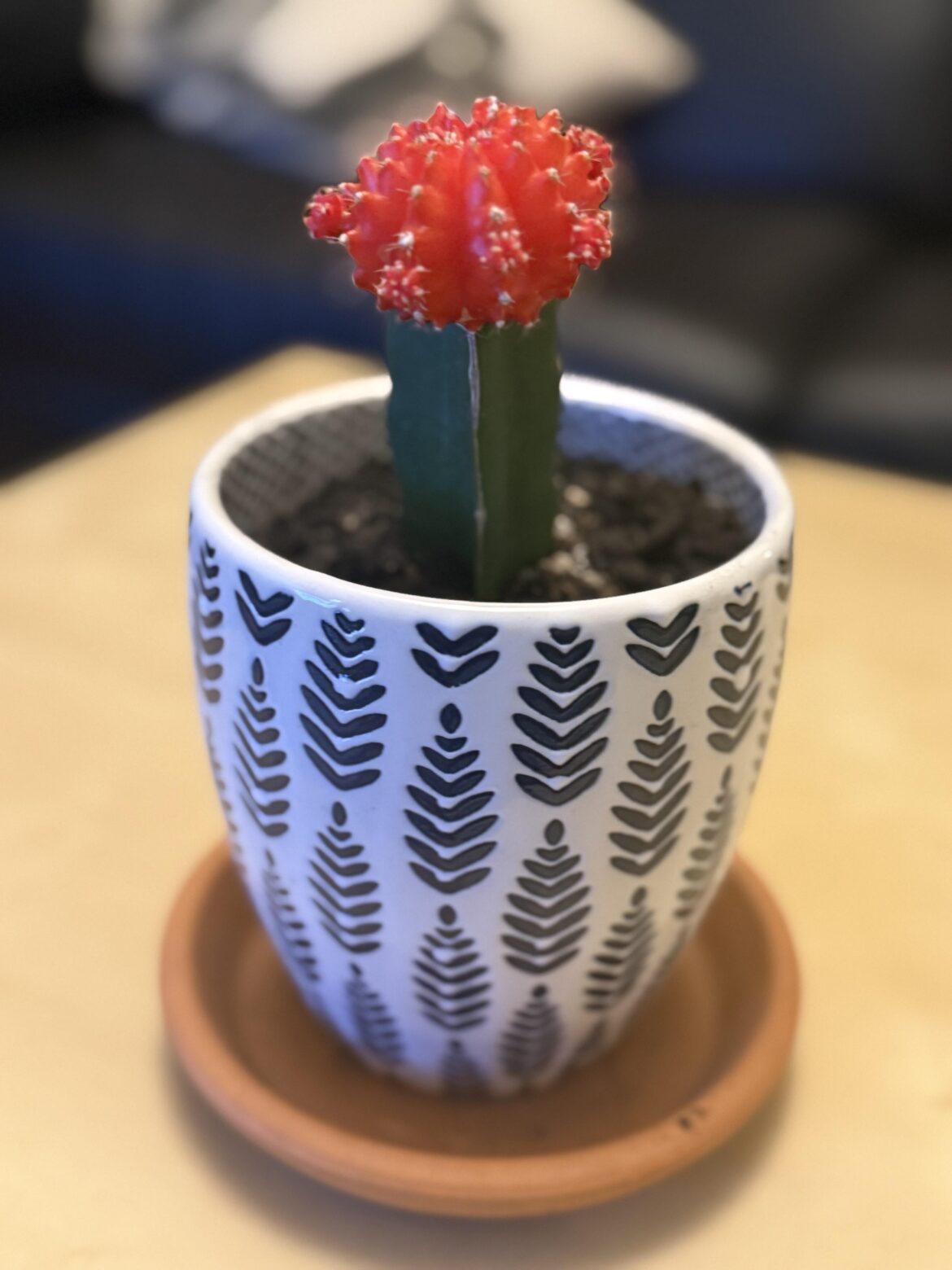 Given to me by a friend