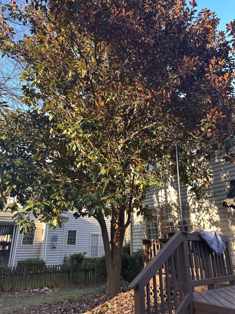 Is this growth sustainable?