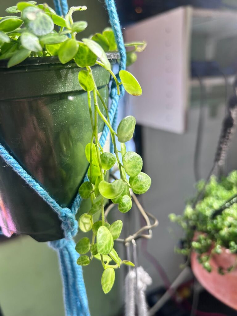 i’m getting so beyond frustrated!