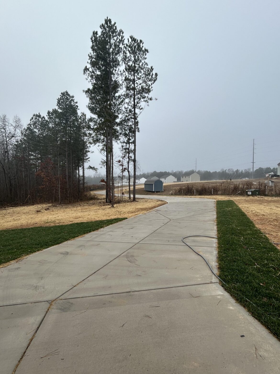 What would you do along this long driveway? Zone 8a