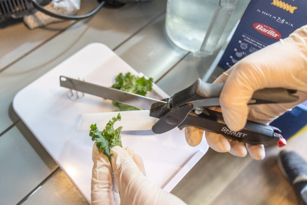 Adaptable scissors designed to cut vegetables