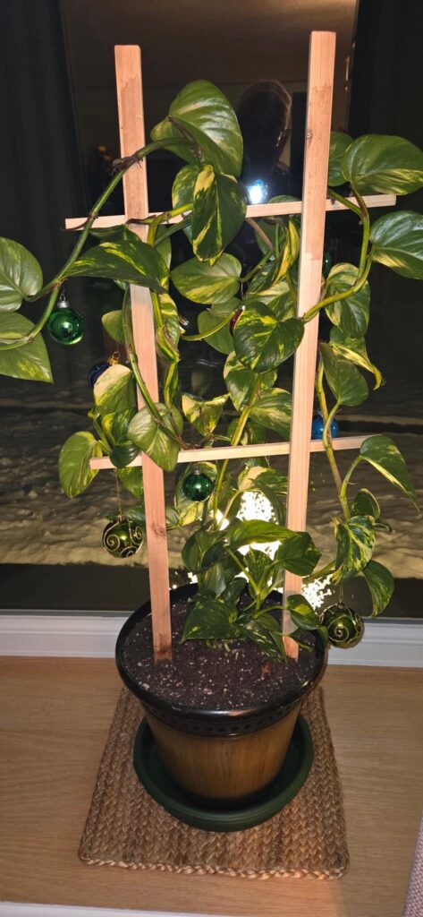 Looking for identification.