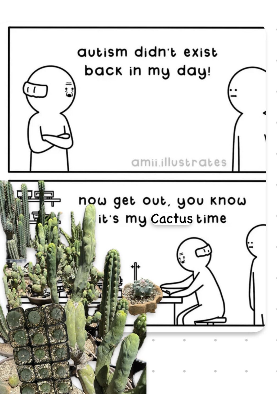 It’s Cactus Time  !!!