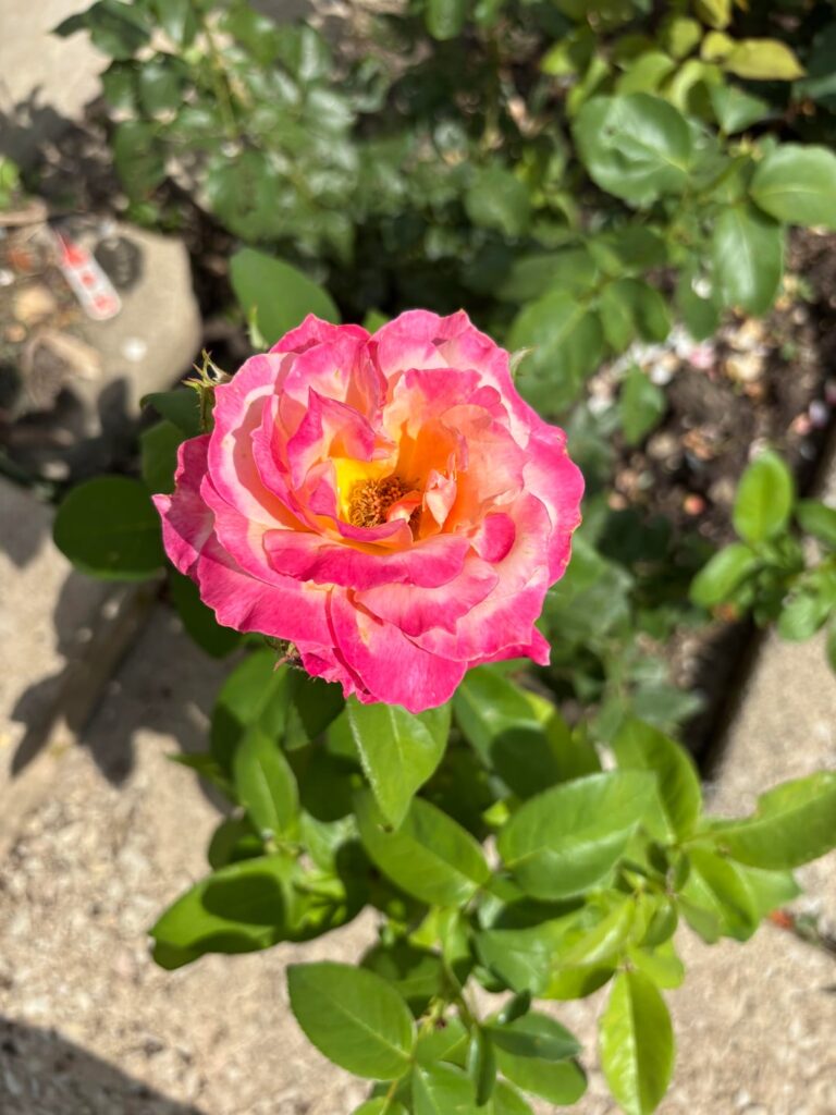 my hard work paying off