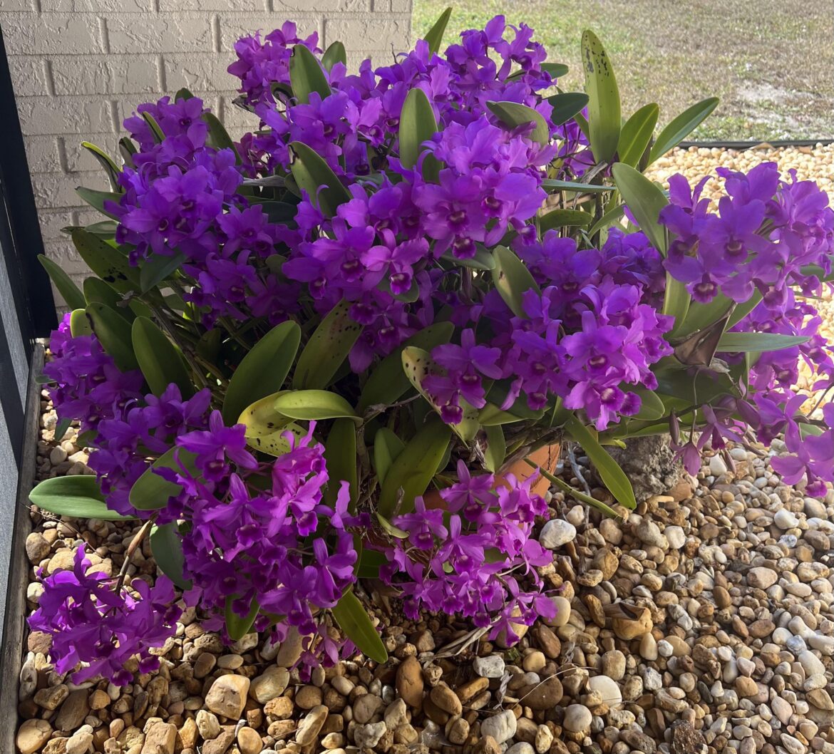 Look forward to this every year