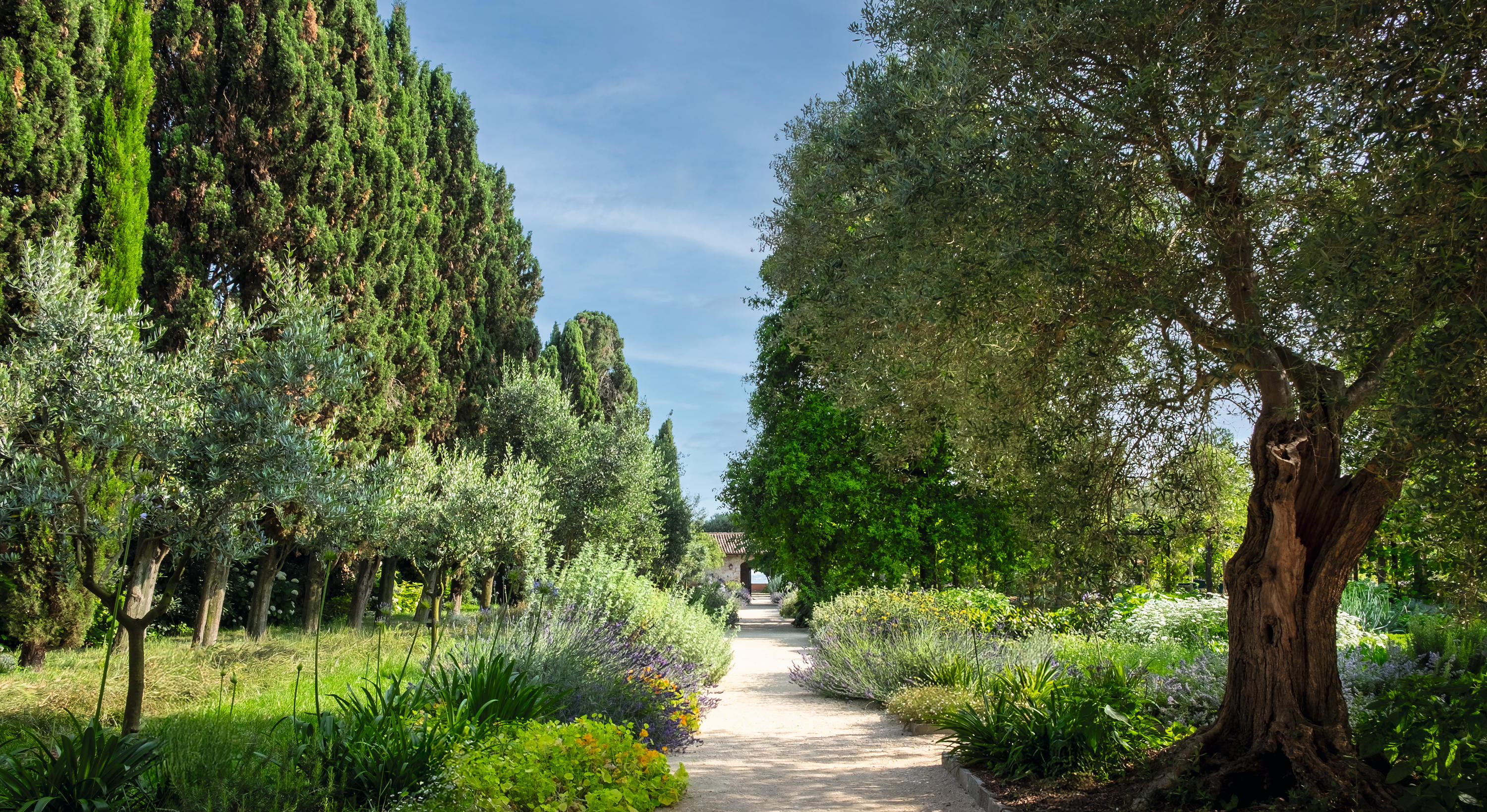 The Convent Garden of Il Redentore, Giudecca, Venice, Italy.