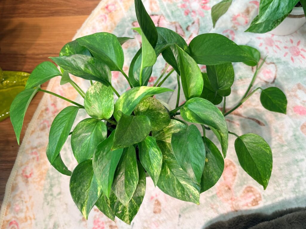 Which one would you giveaway? I can’t decide.