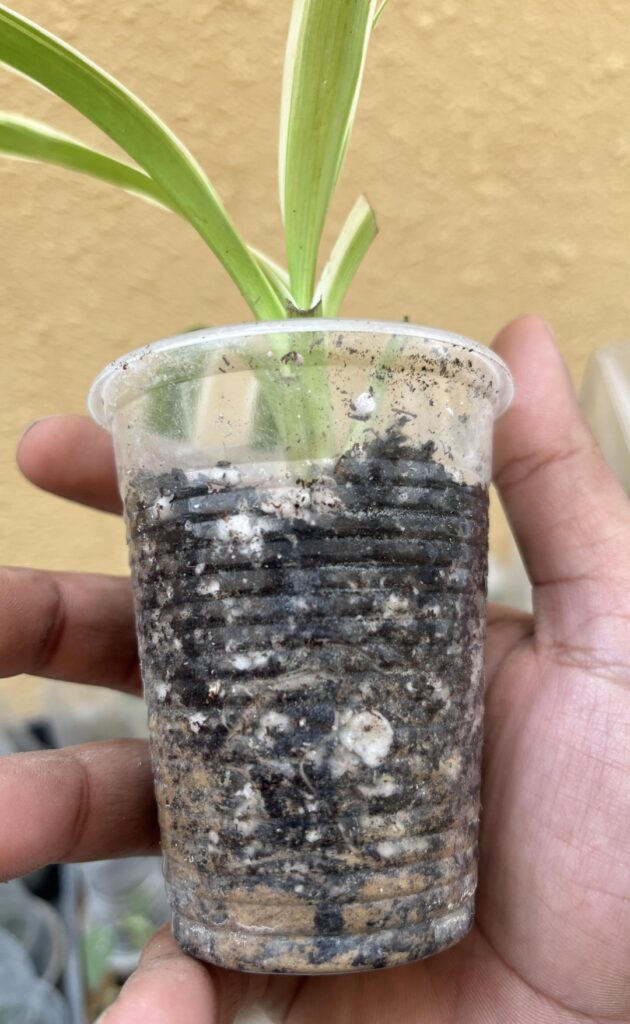 Propagation in winter.