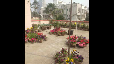 Rooftop gardening drive in Odisha's Jeypore stuck in public ignorance