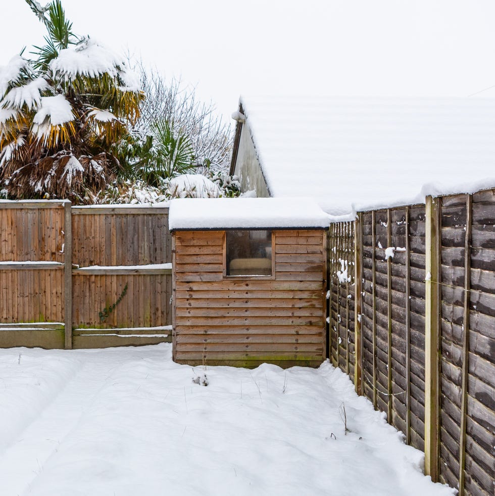 a small wooden garden shed in a snow covered empty garden in the uk
