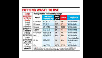 ‘Sludge from STPs safe for gardening, landscaping after heat processing’