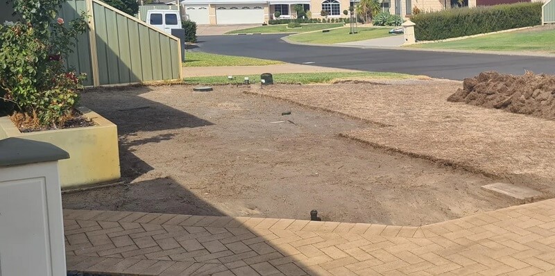 One new gardener shared their experience rewilding their front yard and replacing a non-native lawn with a beautiful native garden.