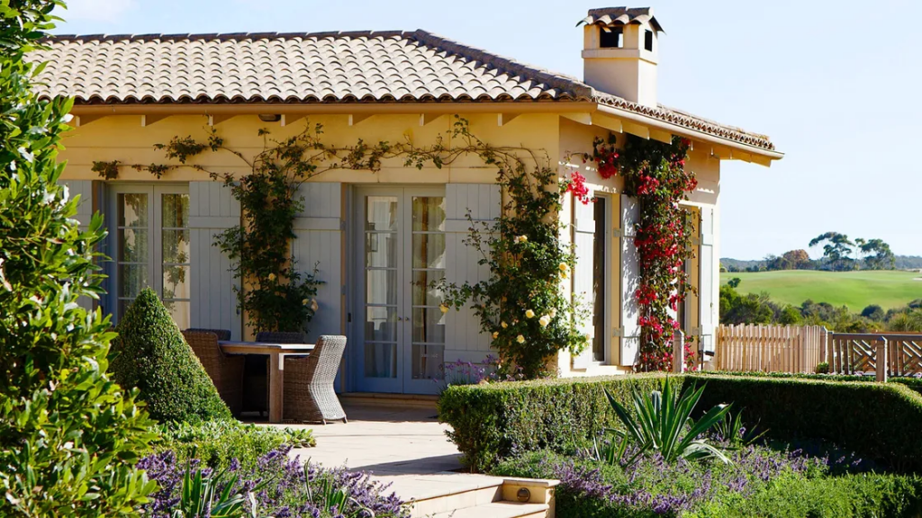 Water, Shade & Planting Tips