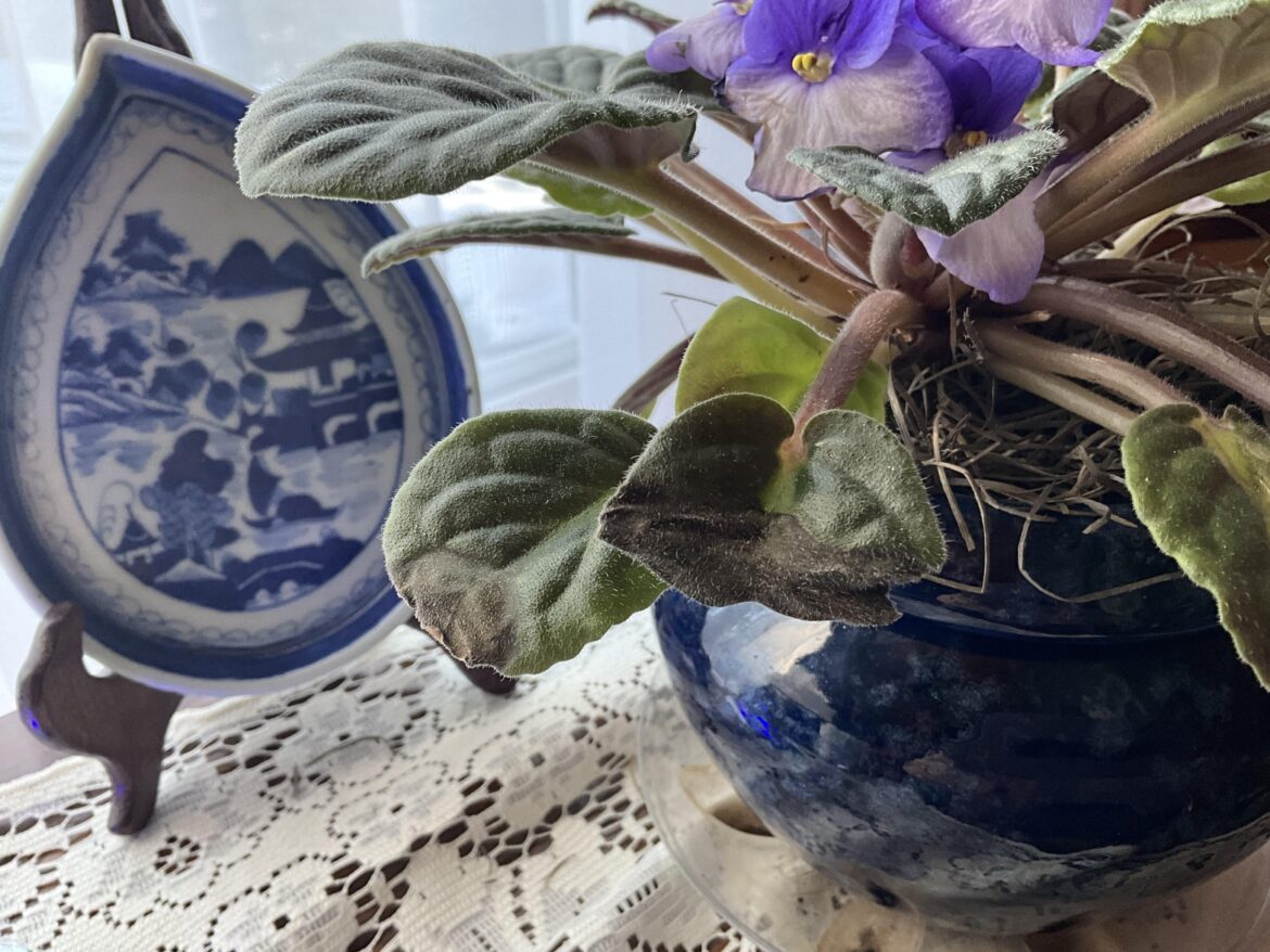 What am I doing wrong?