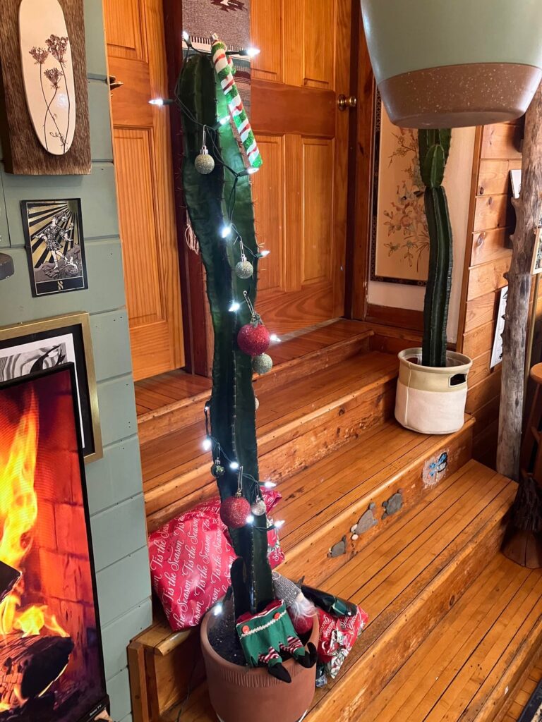 Our house is too small for a Christmas Tree…